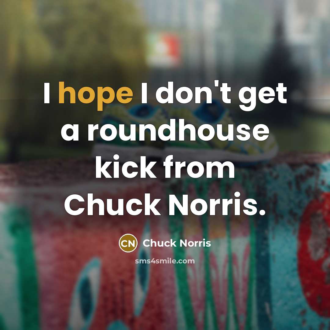 “I hope I don't get a roundhouse kick from Chuck…” quote by Chuck Norris