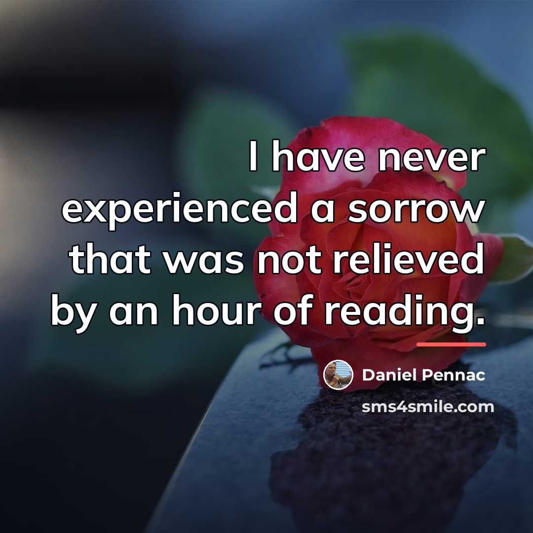 “I have never experienced a sorrow that was not relieved…” quote by Daniel Pennac
