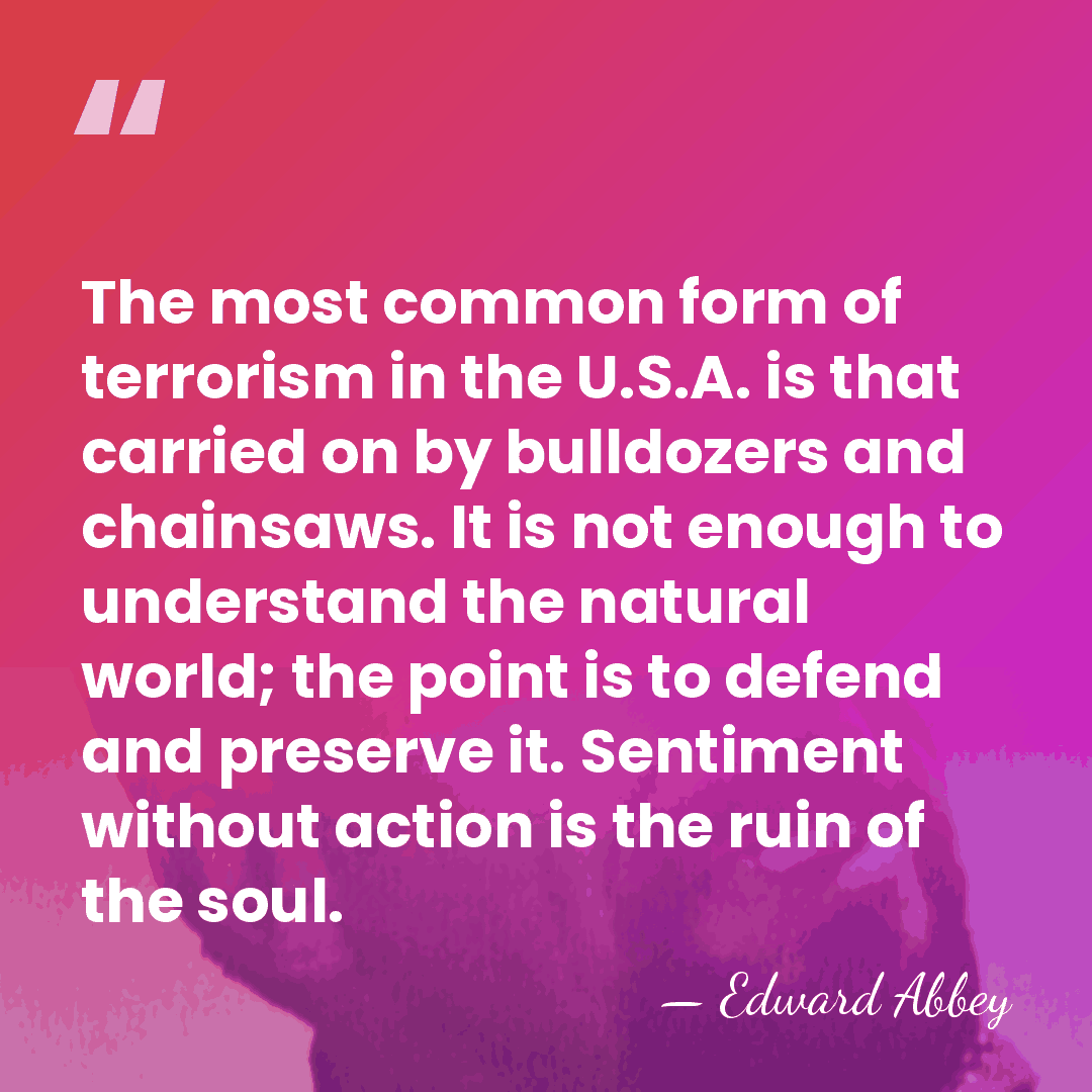 The most common form of terrorism in the U.S.A. is that carried&hellip; - Edward Abbey