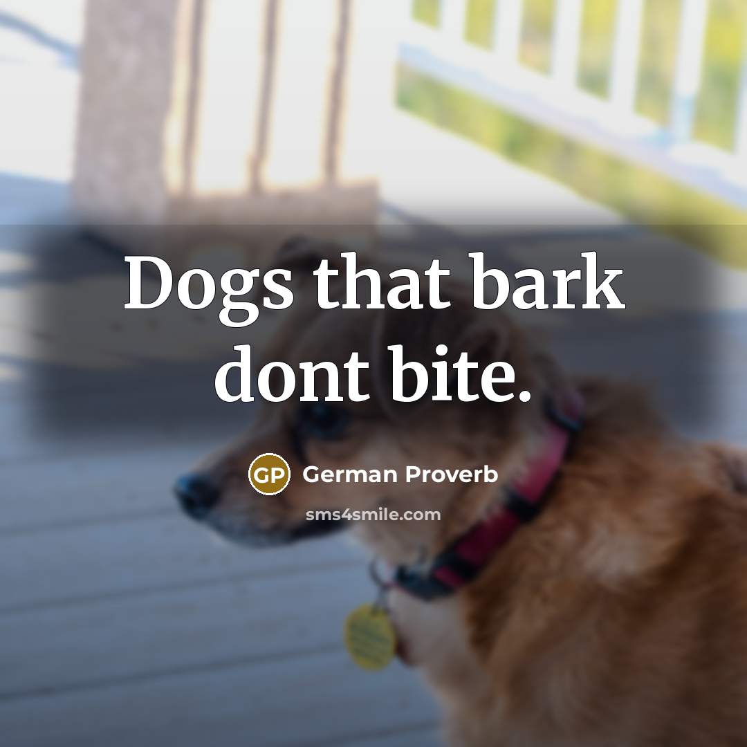 “Dogs that bark dont bite.…” quote by German Proverb