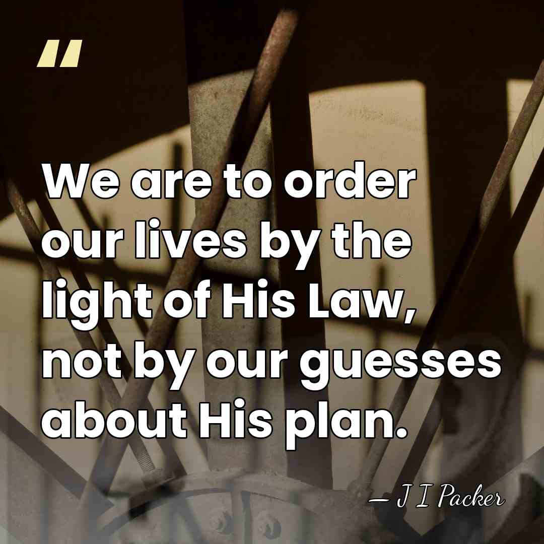We are to order our lives by the light of His Law,&hellip; - J I Packer
