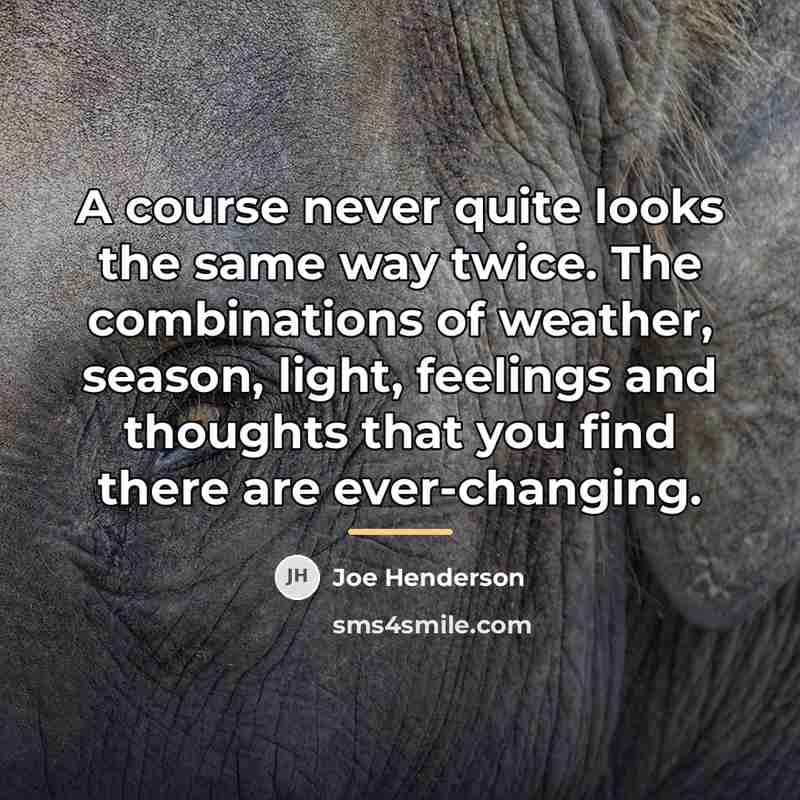 “A course never quite looks the same way twice. The…” quote by Joe Henderson