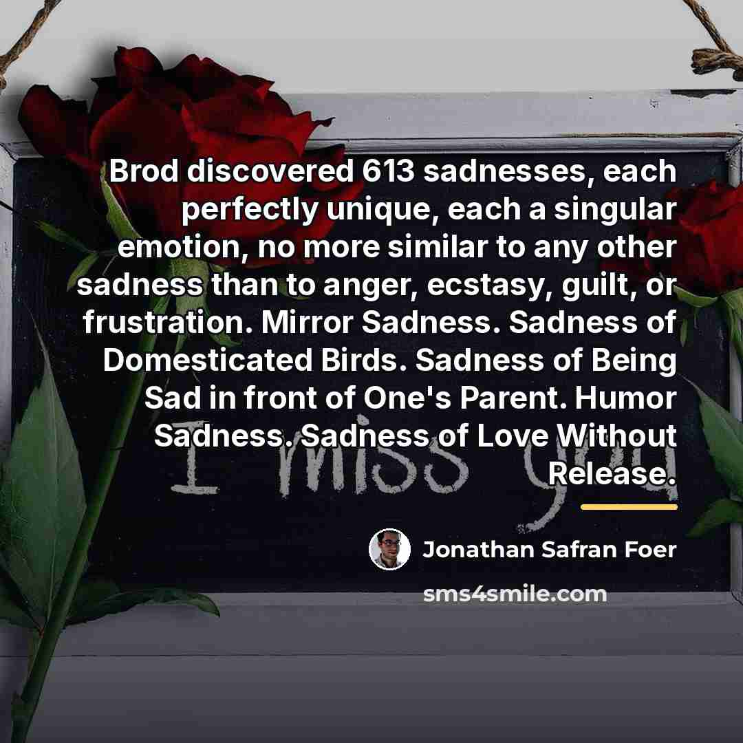 “Brod discovered 613 sadnesses, each perfectly unique, each a singular…” quote by Jonathan Safran Foer