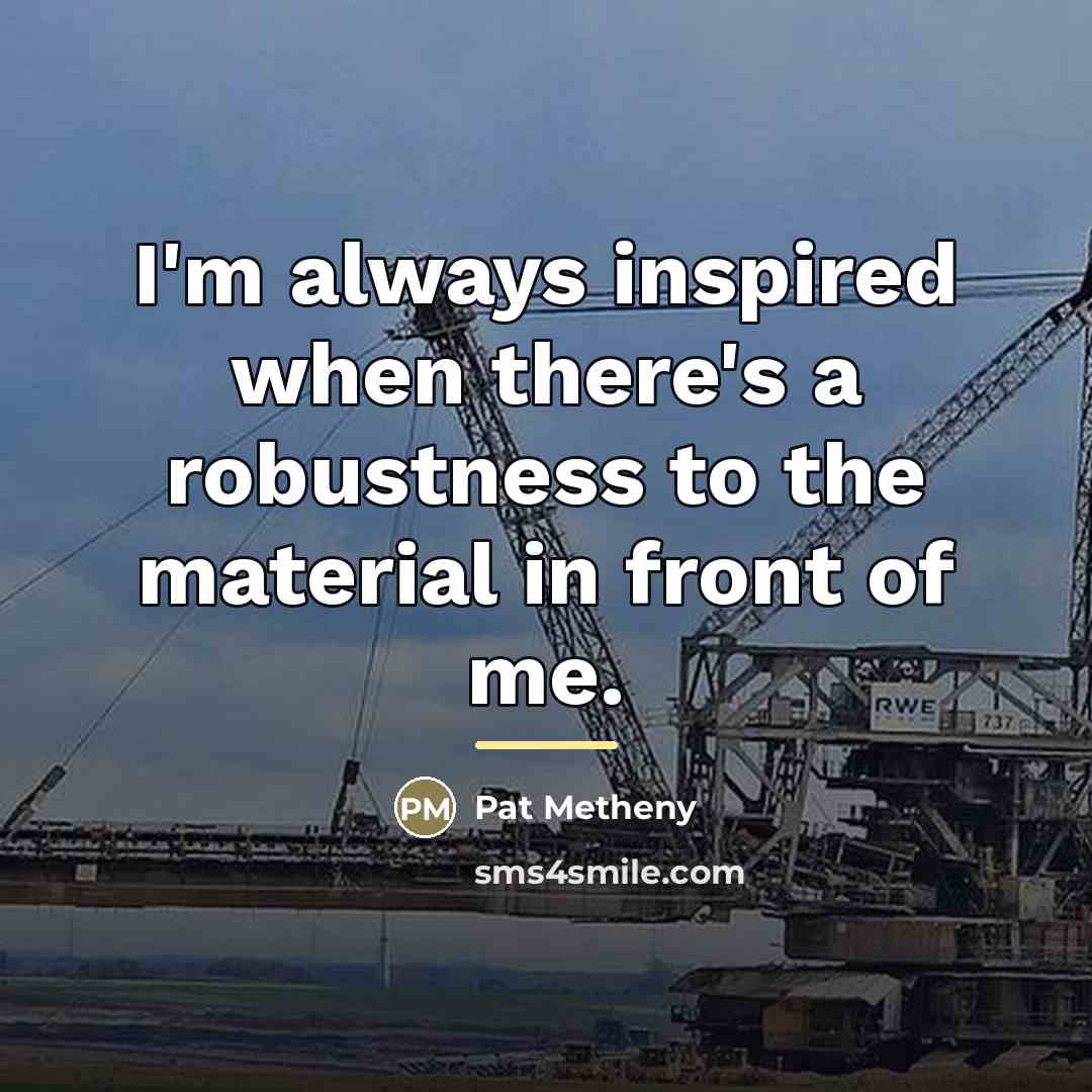 “I'm always inspired when there's a robustness to the material…” quote by Pat Metheny