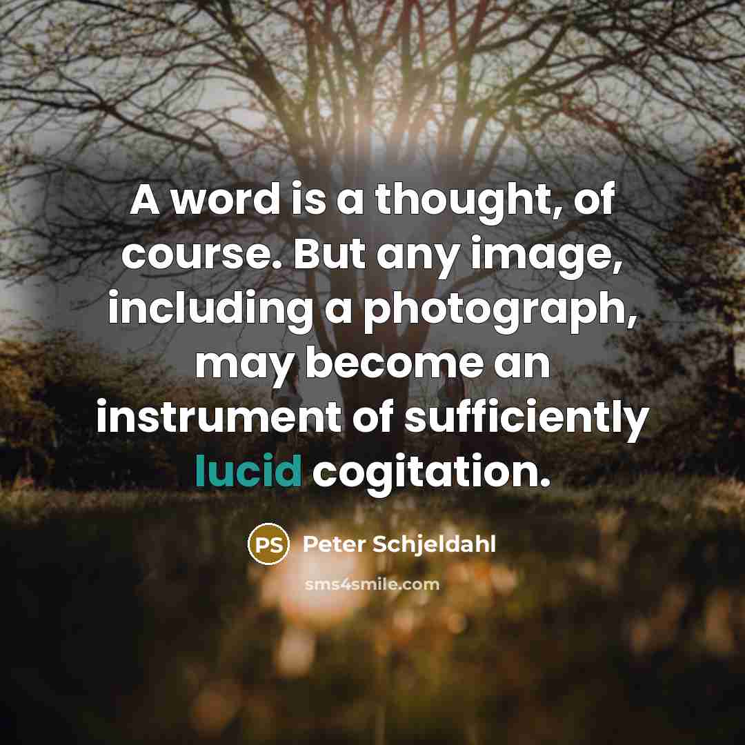 “A word is a thought, of course. But any image,…” quote by Peter Schjeldahl