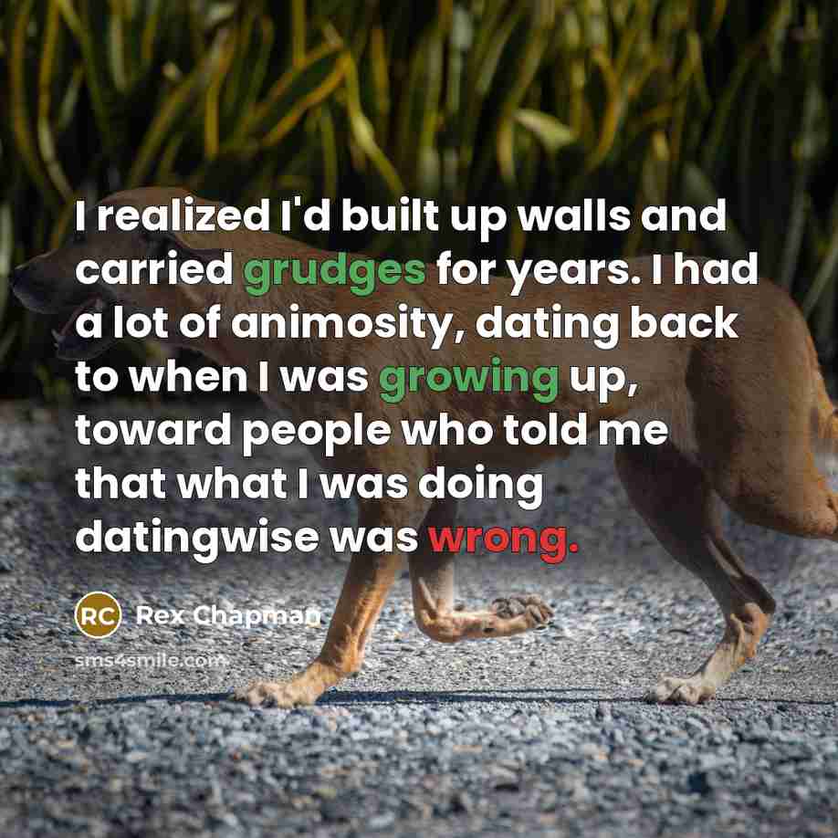 “I realized I'd built up walls and carried grudges for years. I had a lot of animosity, dating back to when I was growing up, toward people who told me that what I was doing datingwise was wrong.” quote by Rex Chapman