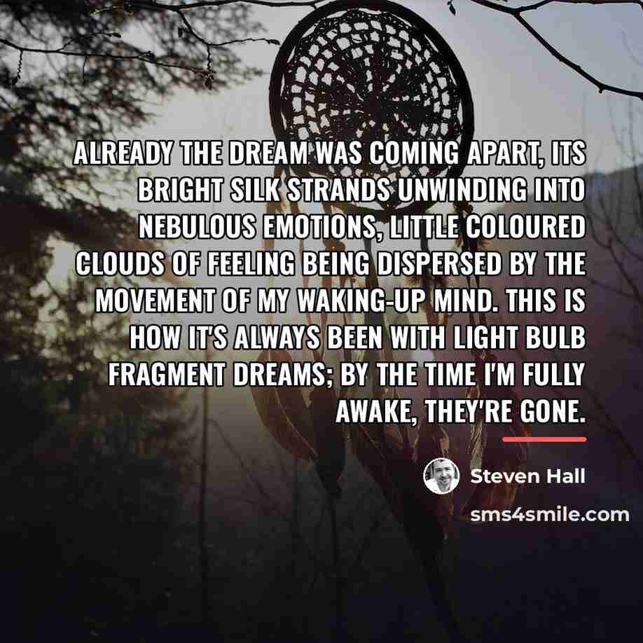 “Already the dream was coming apart, its bright silk strands…” quote by Steven Hall