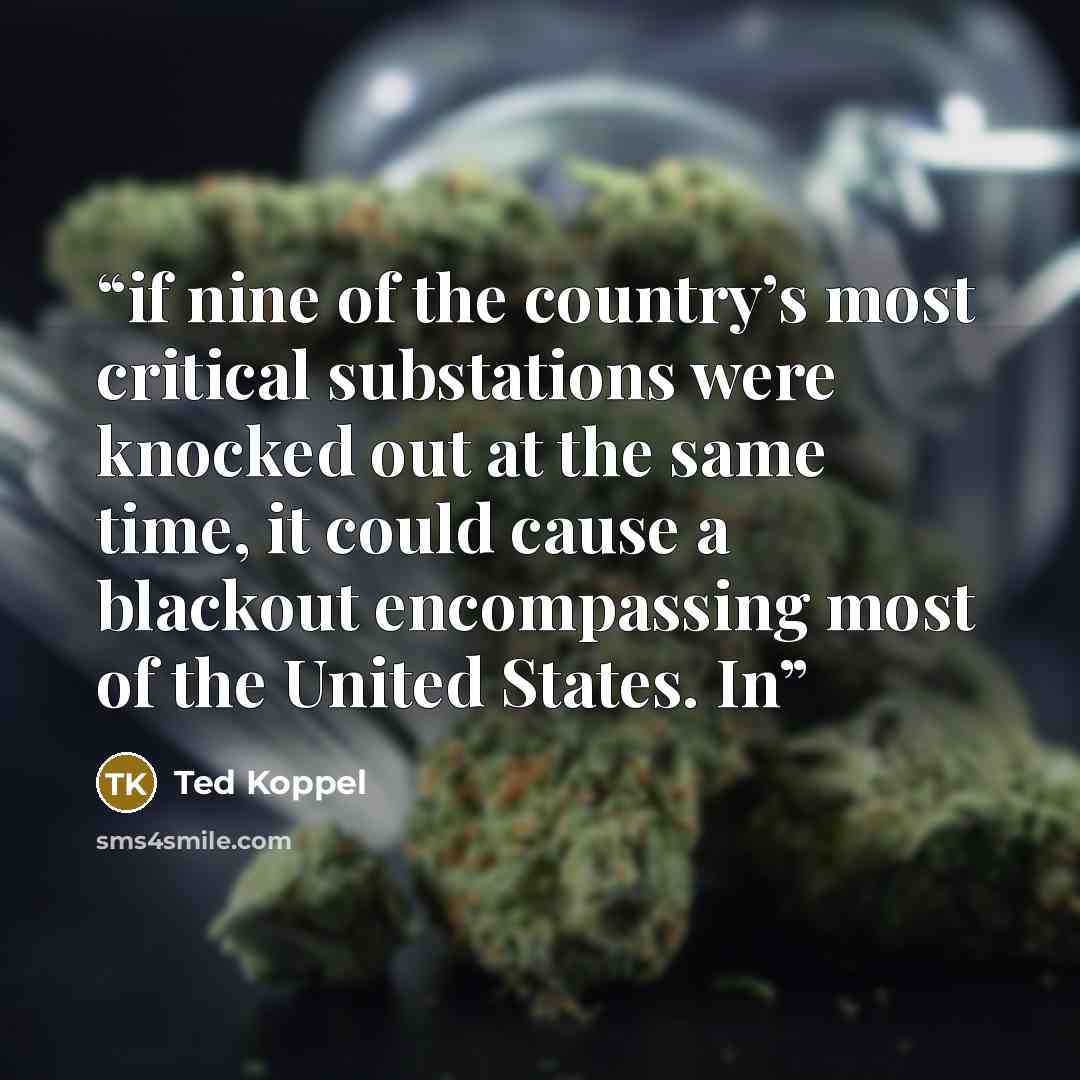 “if nine of the country’s most critical substations were knocked out at the same time, it could cause a blackout encompassing most of the United States. In” quote by Ted Koppel