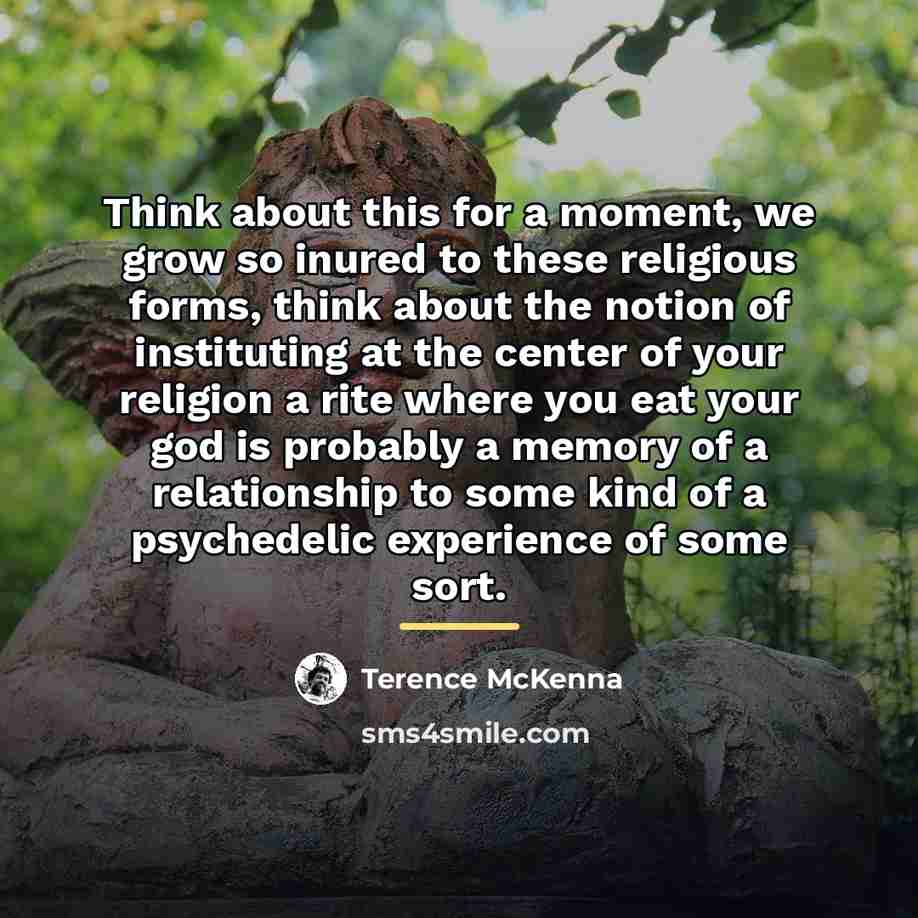 “Think about this for a moment, we grow so inured…” quote by Terence McKenna