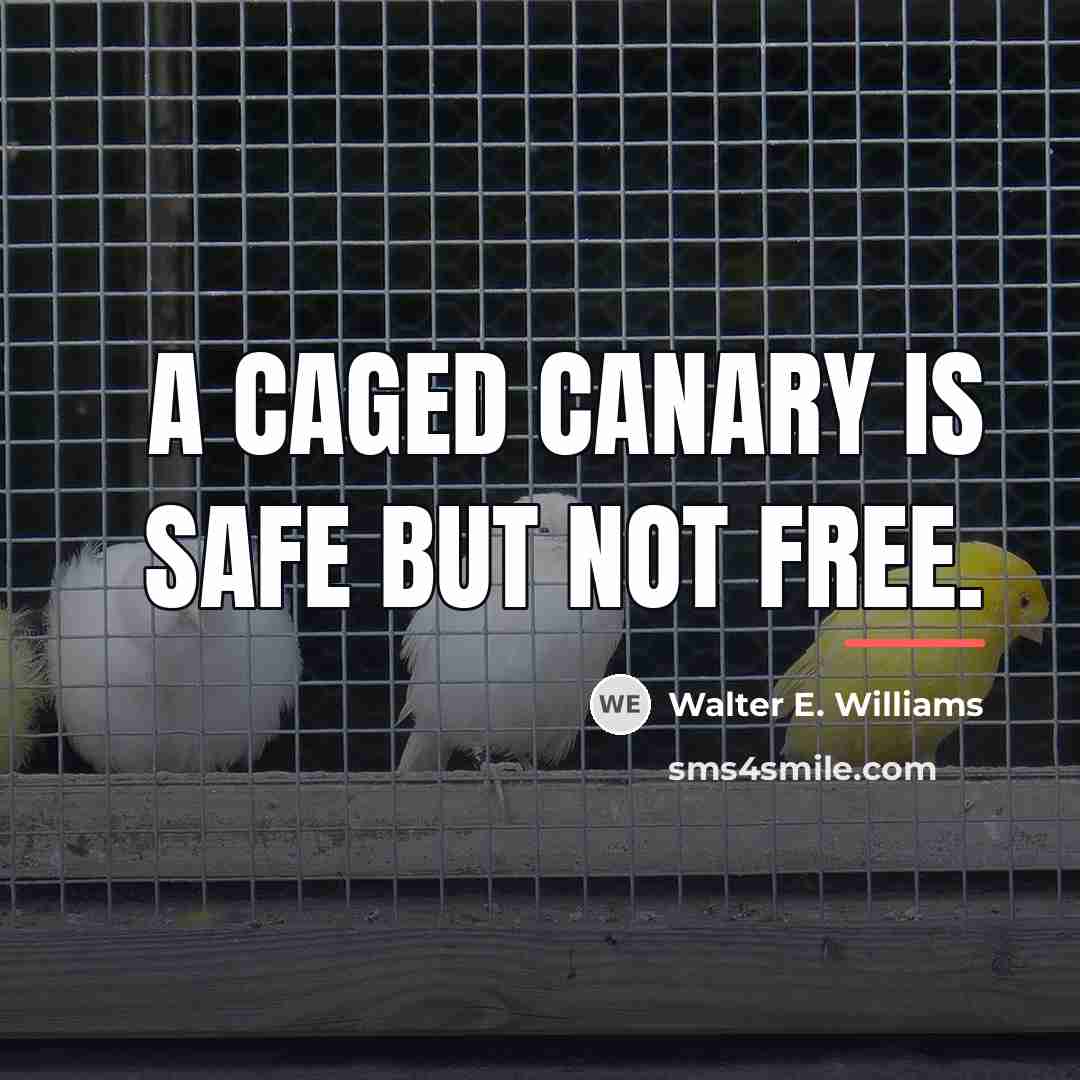 “A caged canary is safe but not free.…” quote by Walter E. Williams