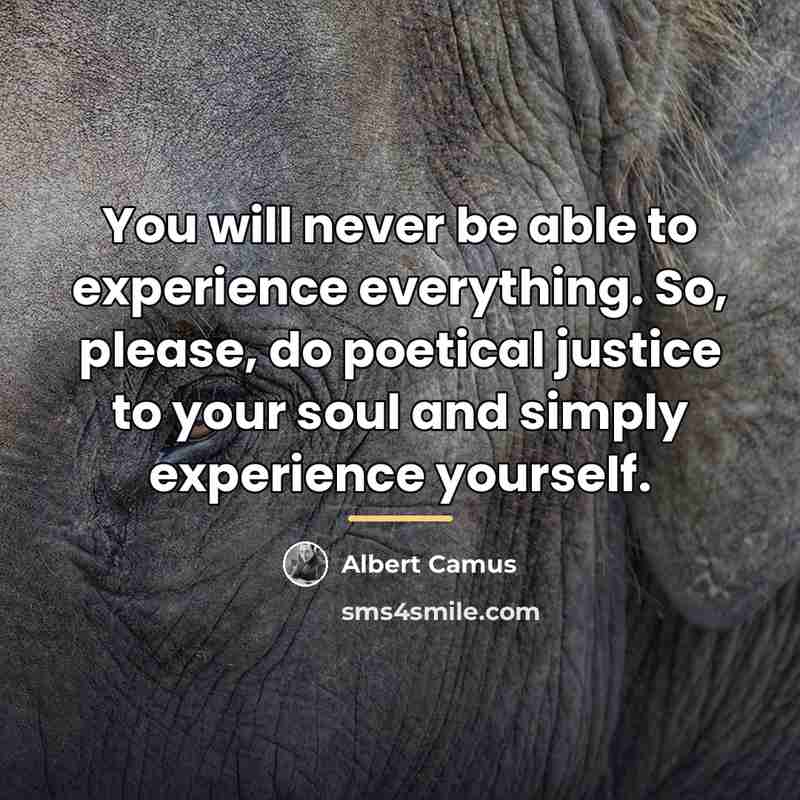 “You will never be able to experience everything. So, please,…” quote by Albert Camus
