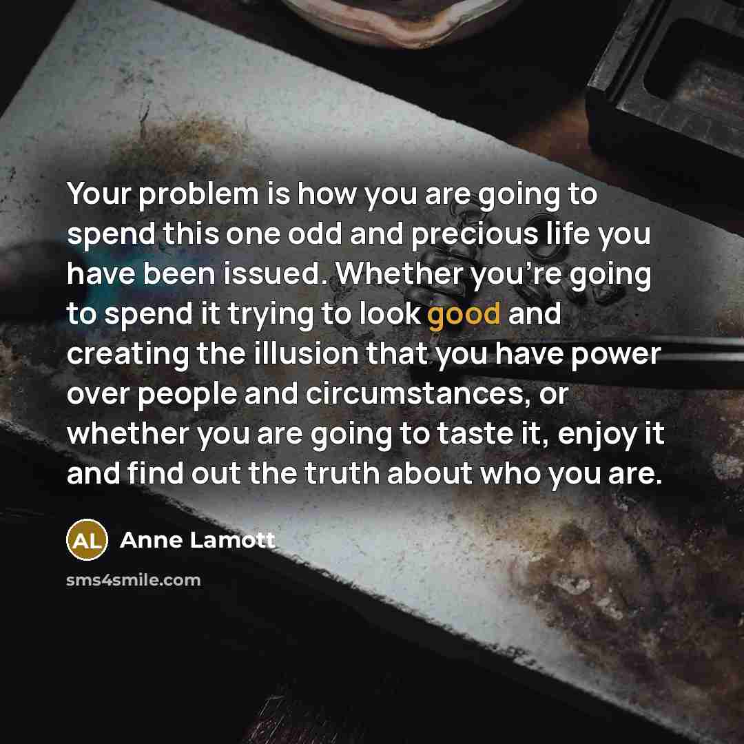 “Your problem is how you are going to spend this…” quote by Anne Lamott