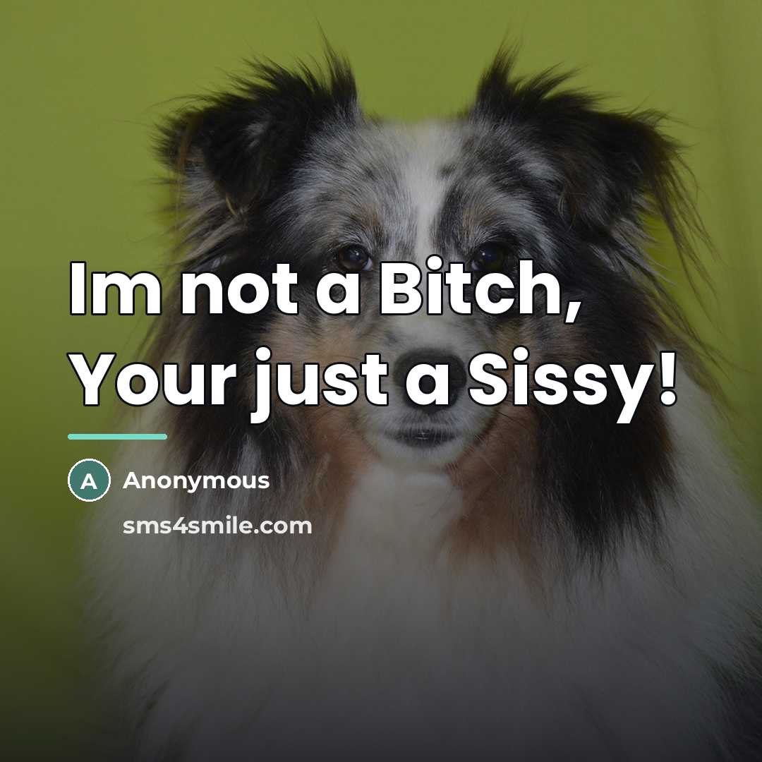 “Im not a Bitch, Your just a Sissy!…” quote by Anonymous