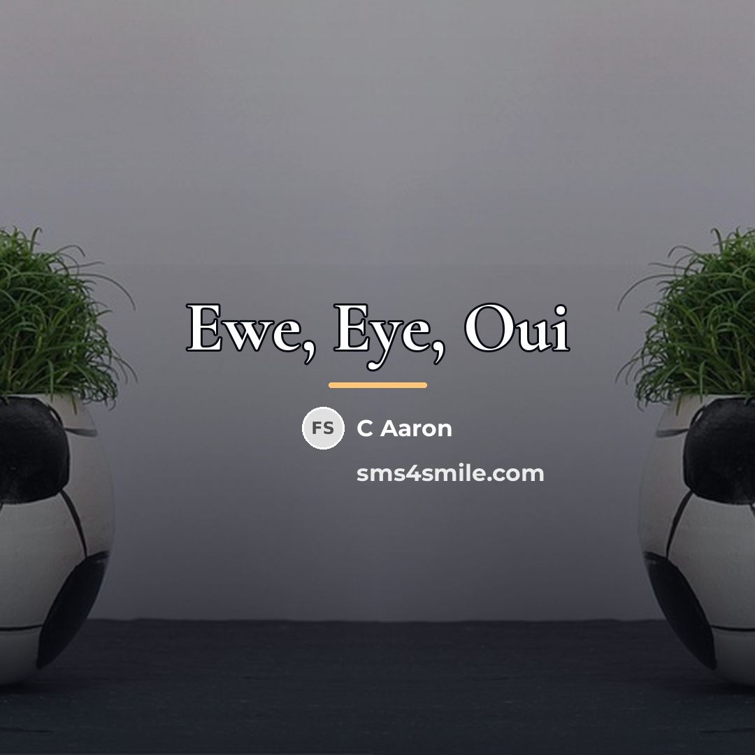 “Ewe, Eye, Oui…” quote by C Aaron
