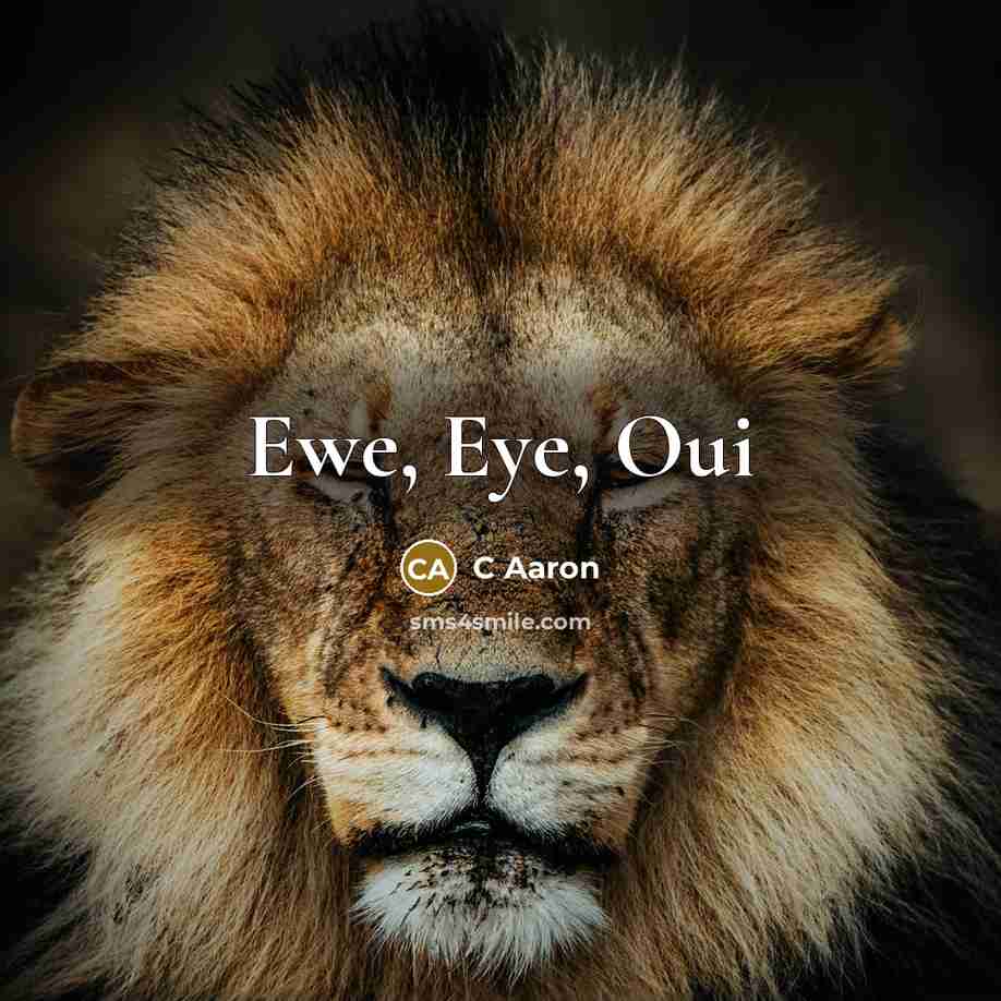 “Ewe, Eye, Oui” quote by C Aaron