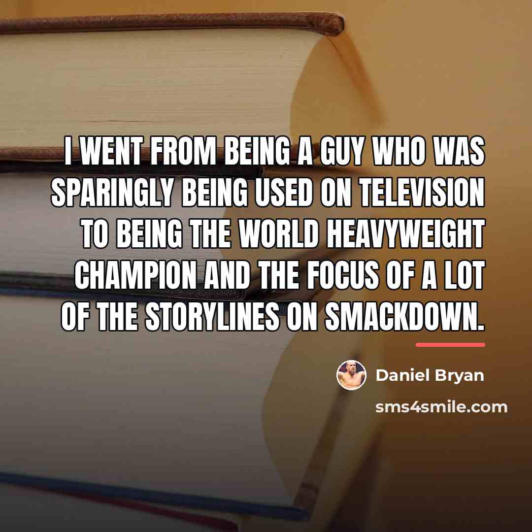 “I went from being a guy who was sparingly being…” quote by Daniel Bryan