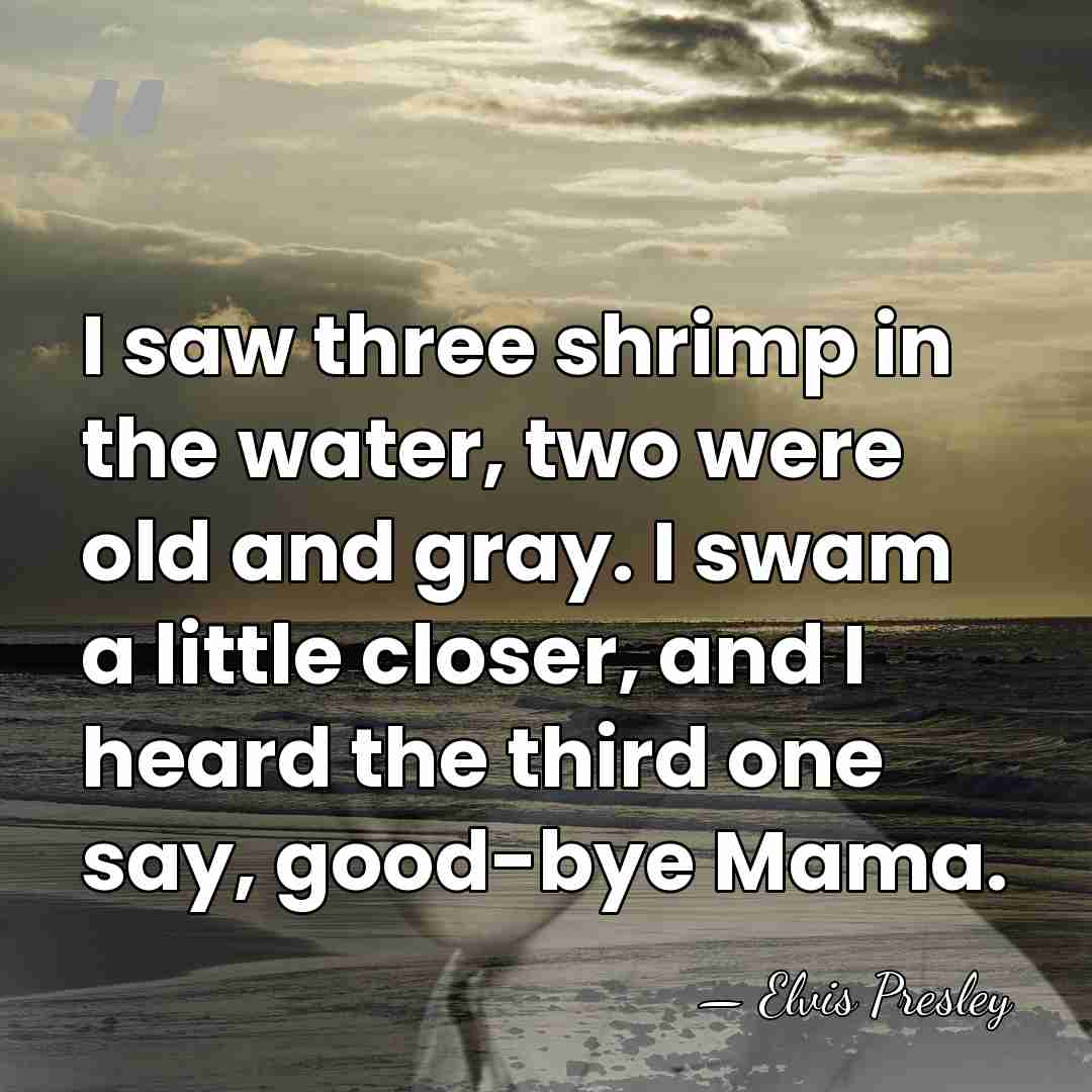 I saw three shrimp in the water, two were old and gray.&hellip; - Elvis Presley