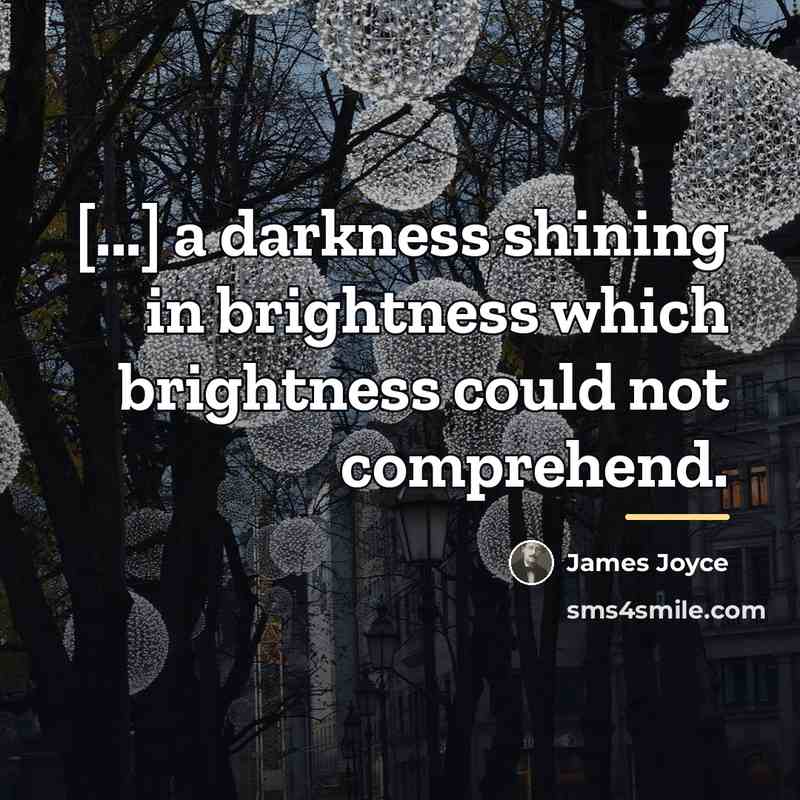 “[...] a darkness shining in brightness which brightness could not…” quote by James Joyce