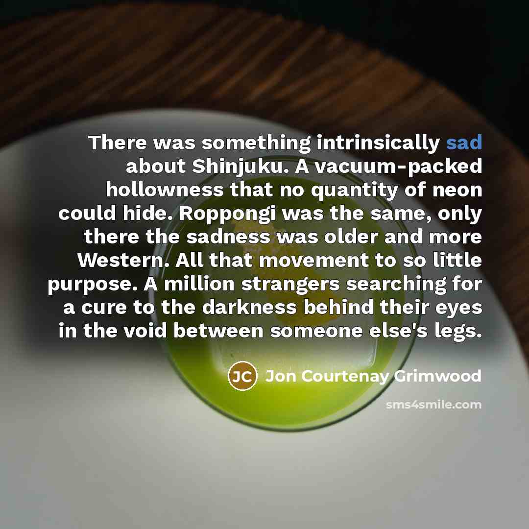 “There was something intrinsically sad about Shinjuku. A vacuum-packed hollowness…” quote by Jon Courtenay Grimwood