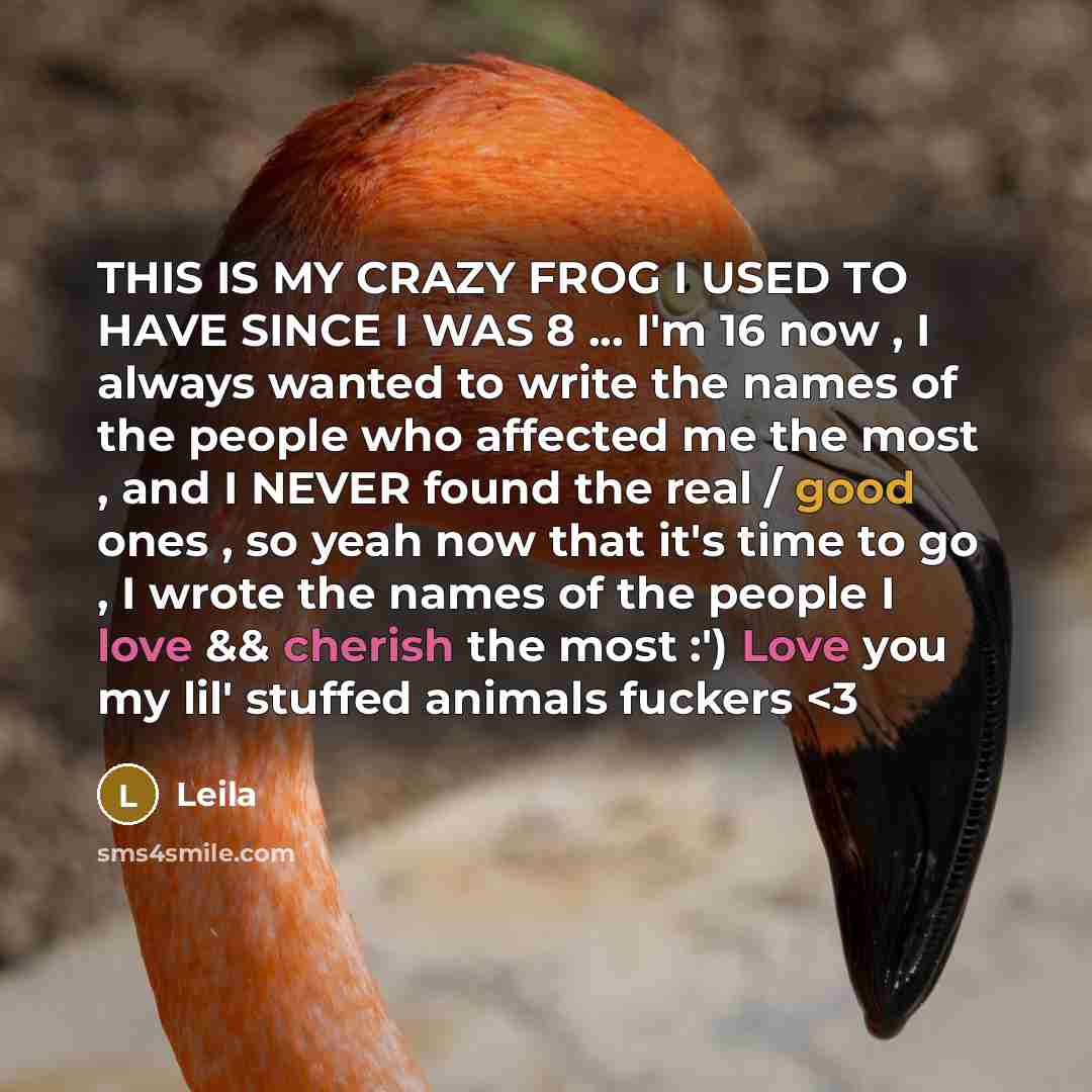 “THIS IS MY CRAZY FROG I USED TO HAVE SINCE I WAS 8 ... I'm 16 now , I always wanted to write the names of the people who affected me the most , and I NEVER found the real / good ones , so yeah now that it's time to go , I wrote the names of the people I love && cherish the most :') Love you my…” quote by Leila