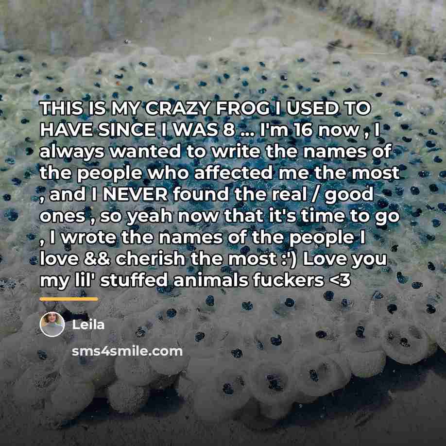 “THIS IS MY CRAZY FROG I USED TO HAVE SINCE…” quote by Leila