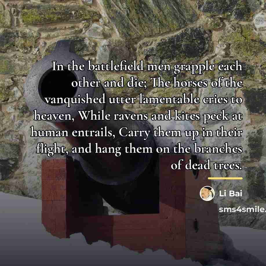 “In the battlefield men grapple each other and die; The…” quote by Li Bai