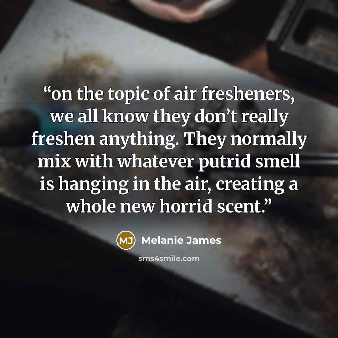 “on the topic of air fresheners, we all know they don’t really freshen anything. They normally mix with whatever putrid smell is hanging in the air, creating a whole new horrid scent.” quote by Melanie James