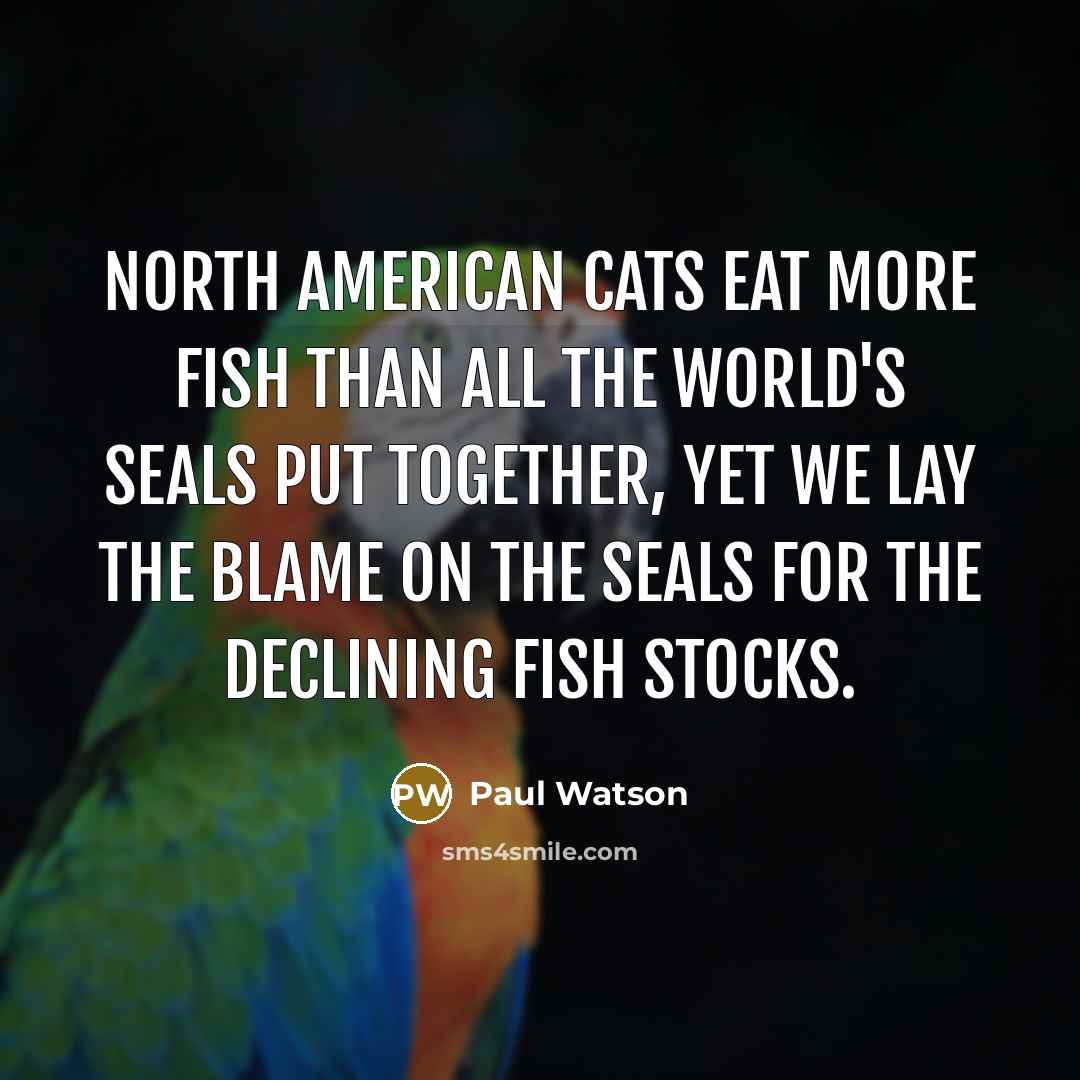 “North American cats eat more fish than all the world's…” quote by Paul Watson