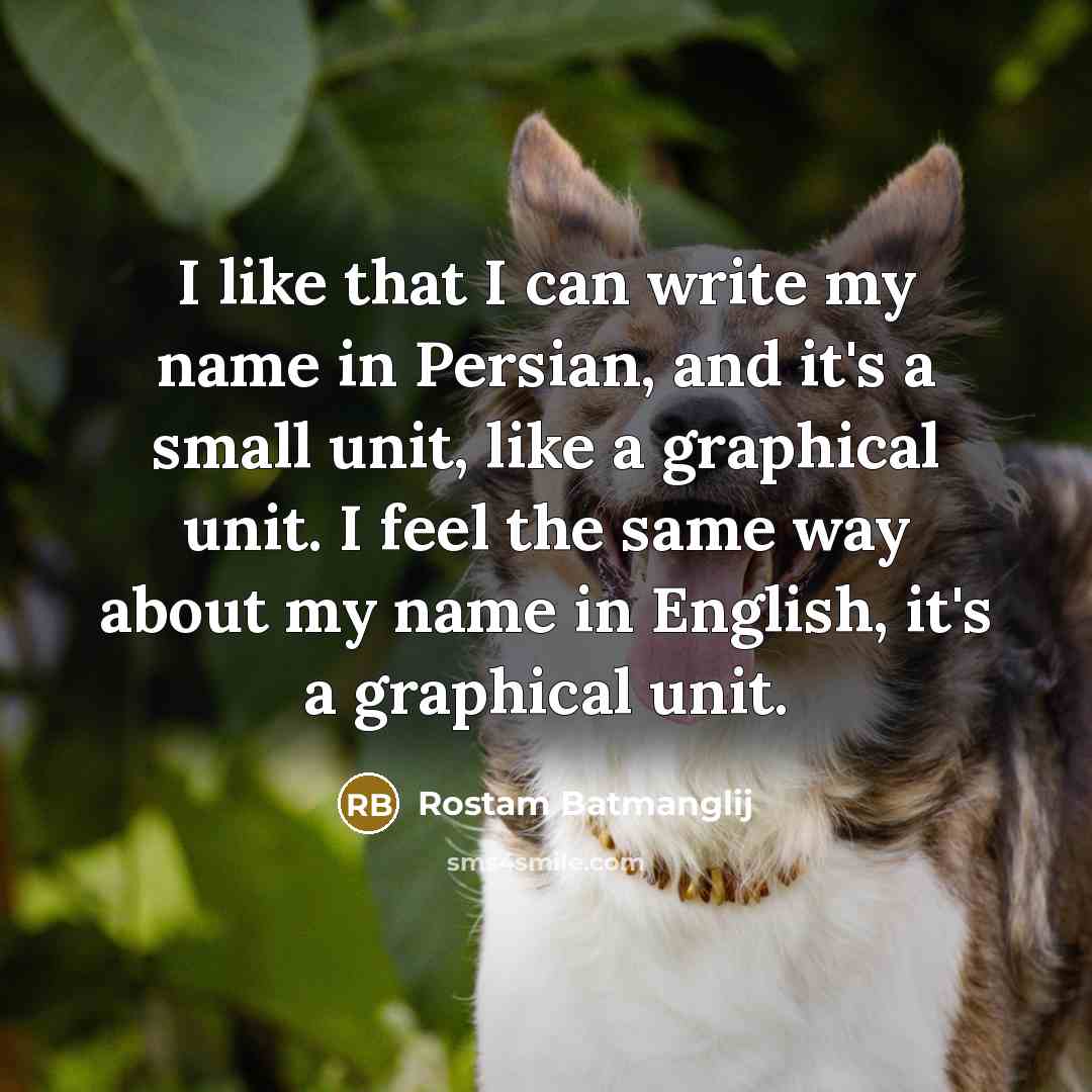 “I like that I can write my name in Persian,…” quote by Rostam Batmanglij
