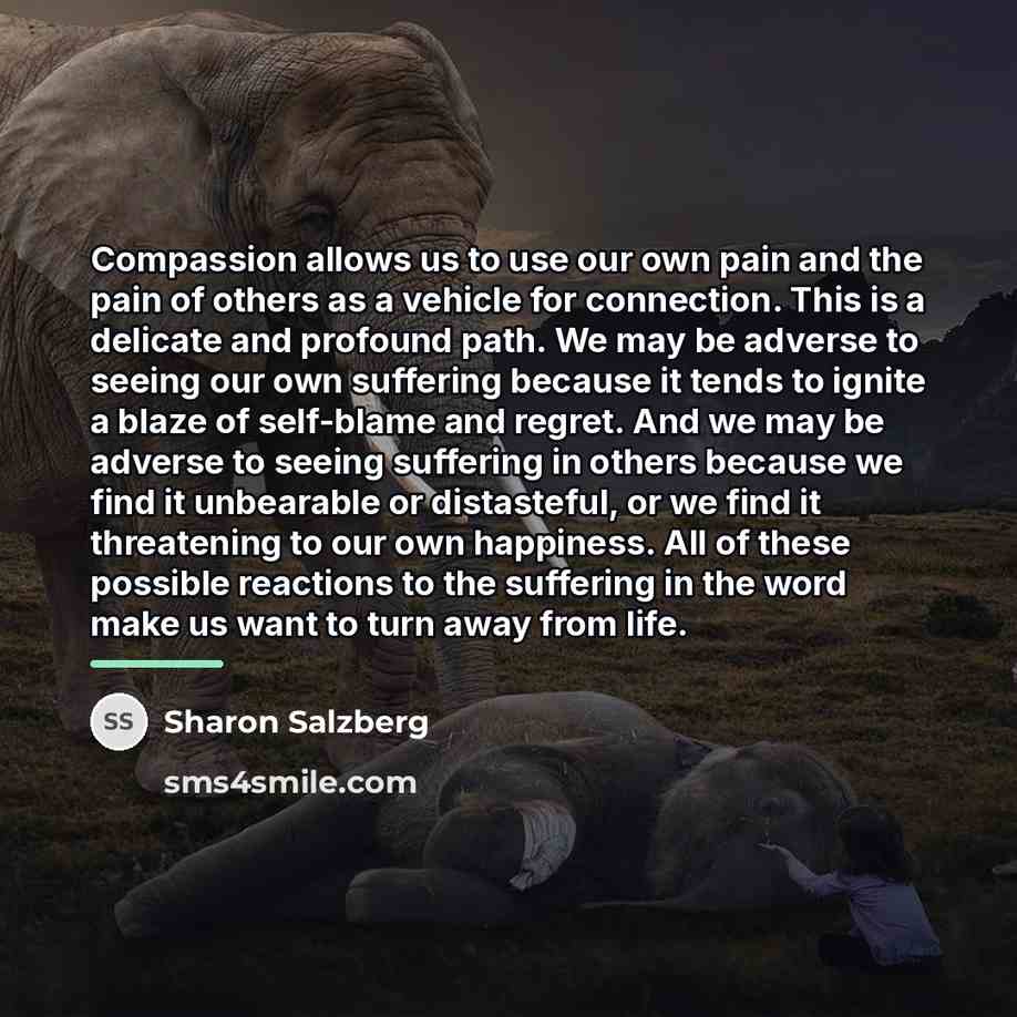 “Compassion allows us to use our own pain and the…” quote by Sharon Salzberg