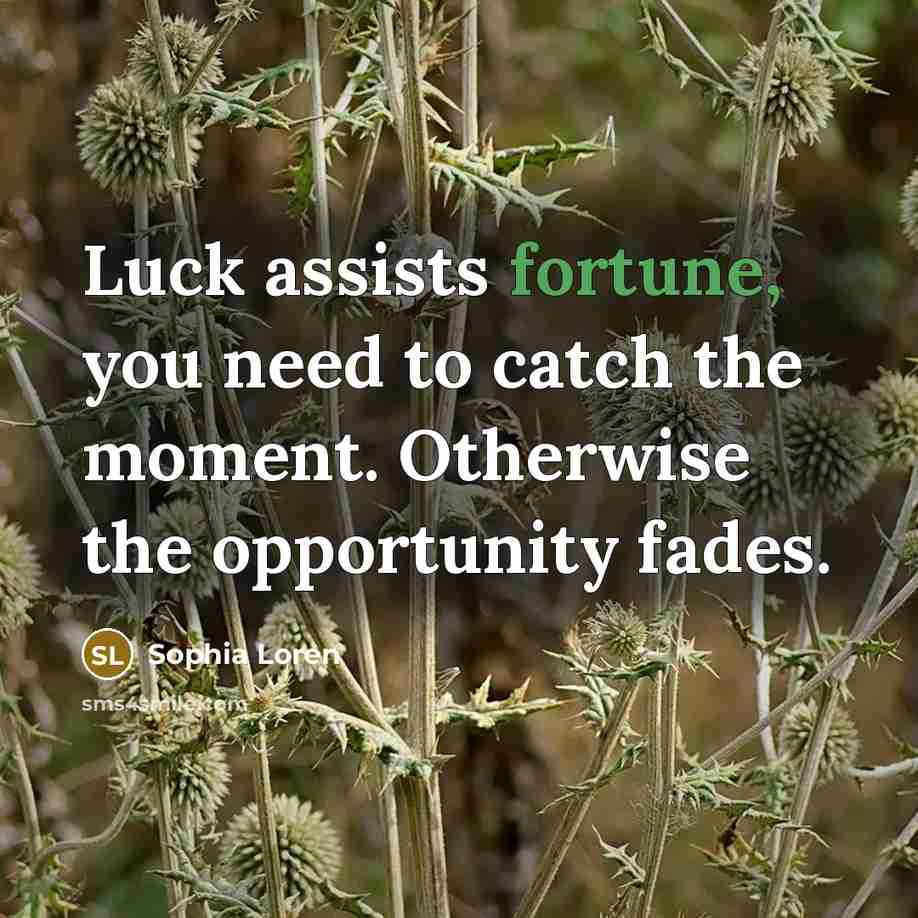 “Luck assists fortune, you need to catch the moment. Otherwise…” quote by Sophia Loren