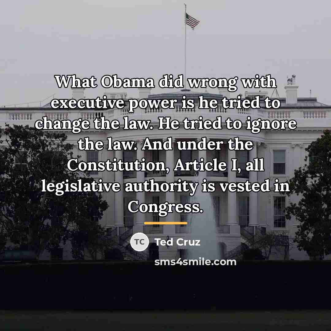 “What Obama did wrong with executive power is he tried…” quote by Ted Cruz