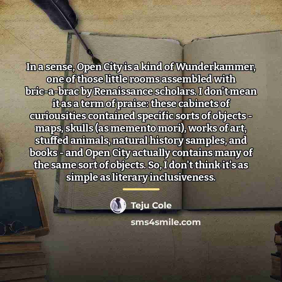 “In a sense, Open City is a kind of Wunderkammer,…” quote by Teju Cole