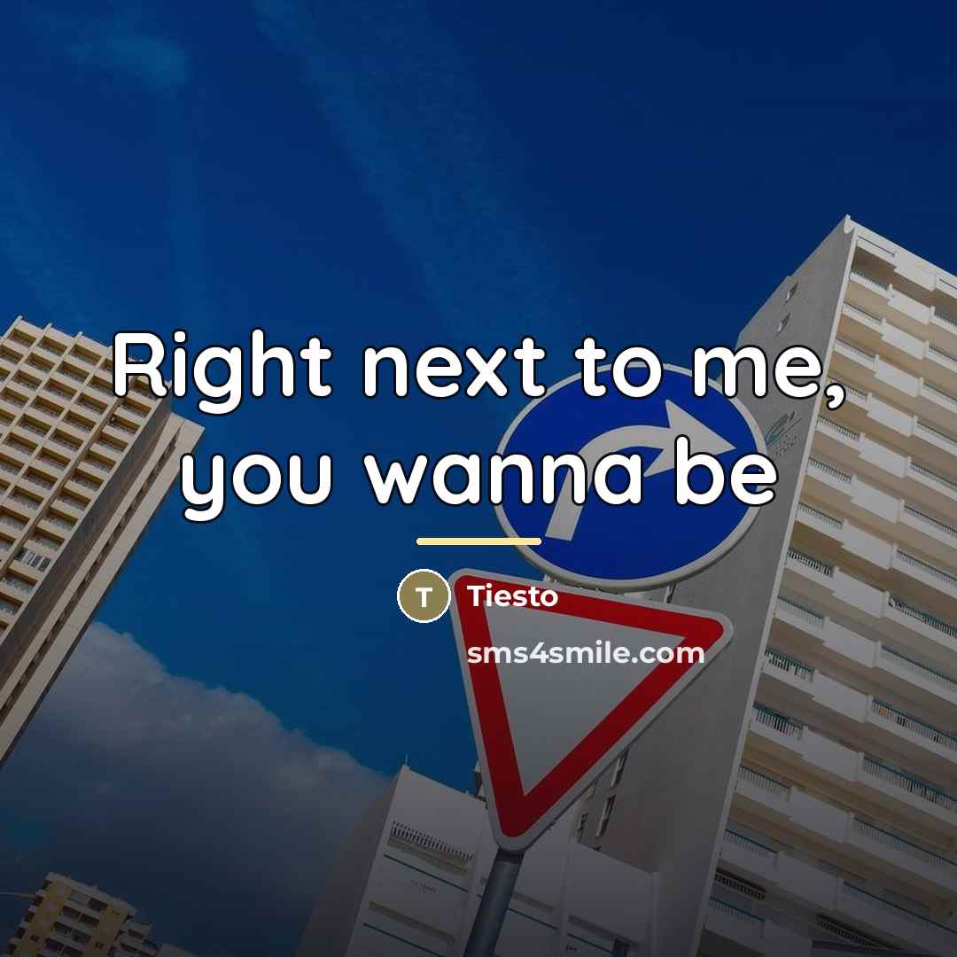 “Right next to me, you wanna be…” quote by Tiesto