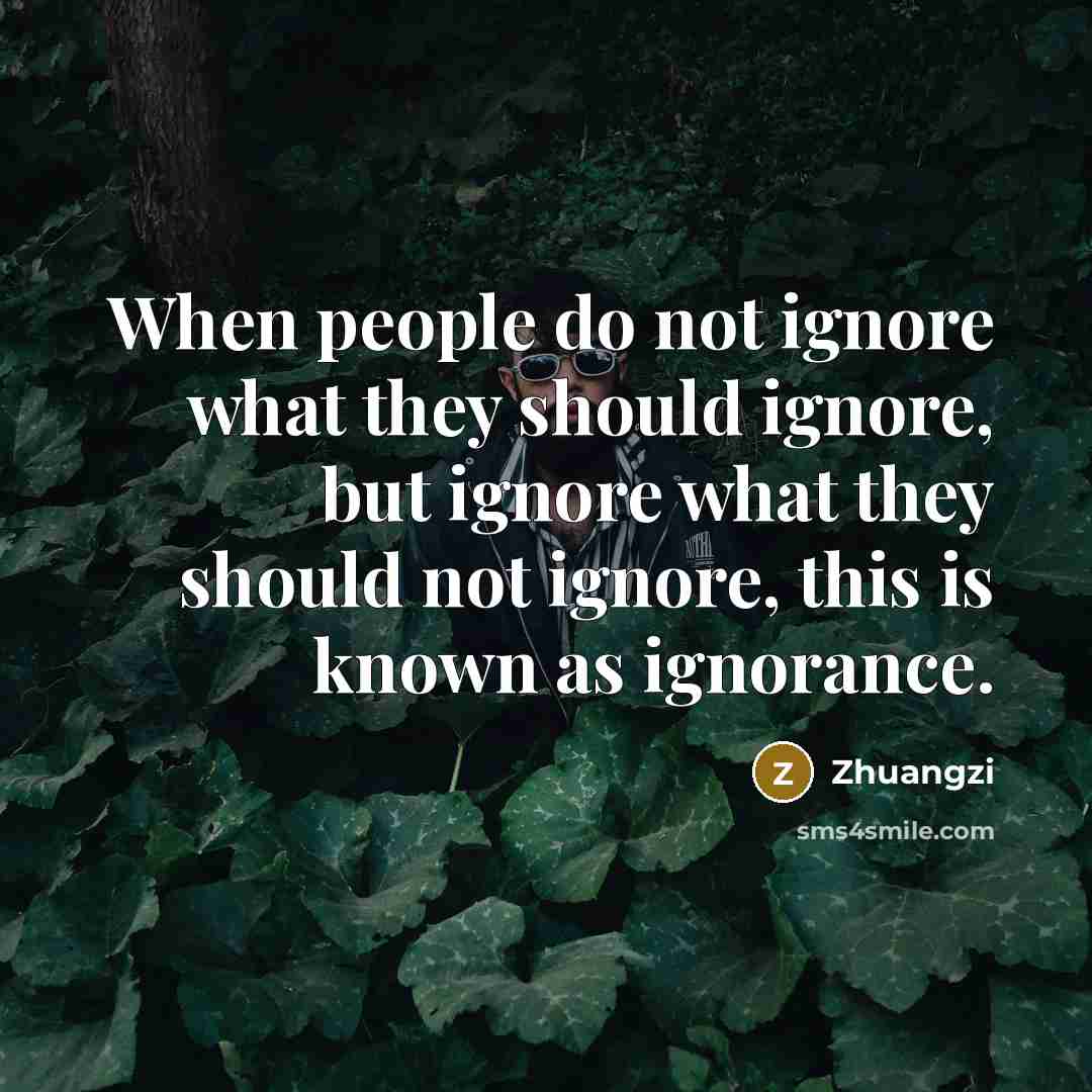 “When people do not ignore what they should ignore, but…” quote by Zhuangzi