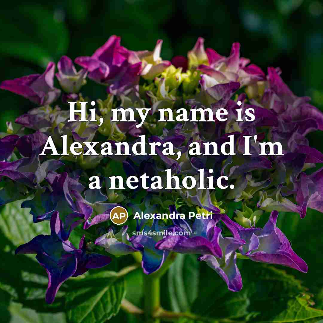 “Hi, my name is Alexandra, and I'm a netaholic.…” quote by Alexandra Petri