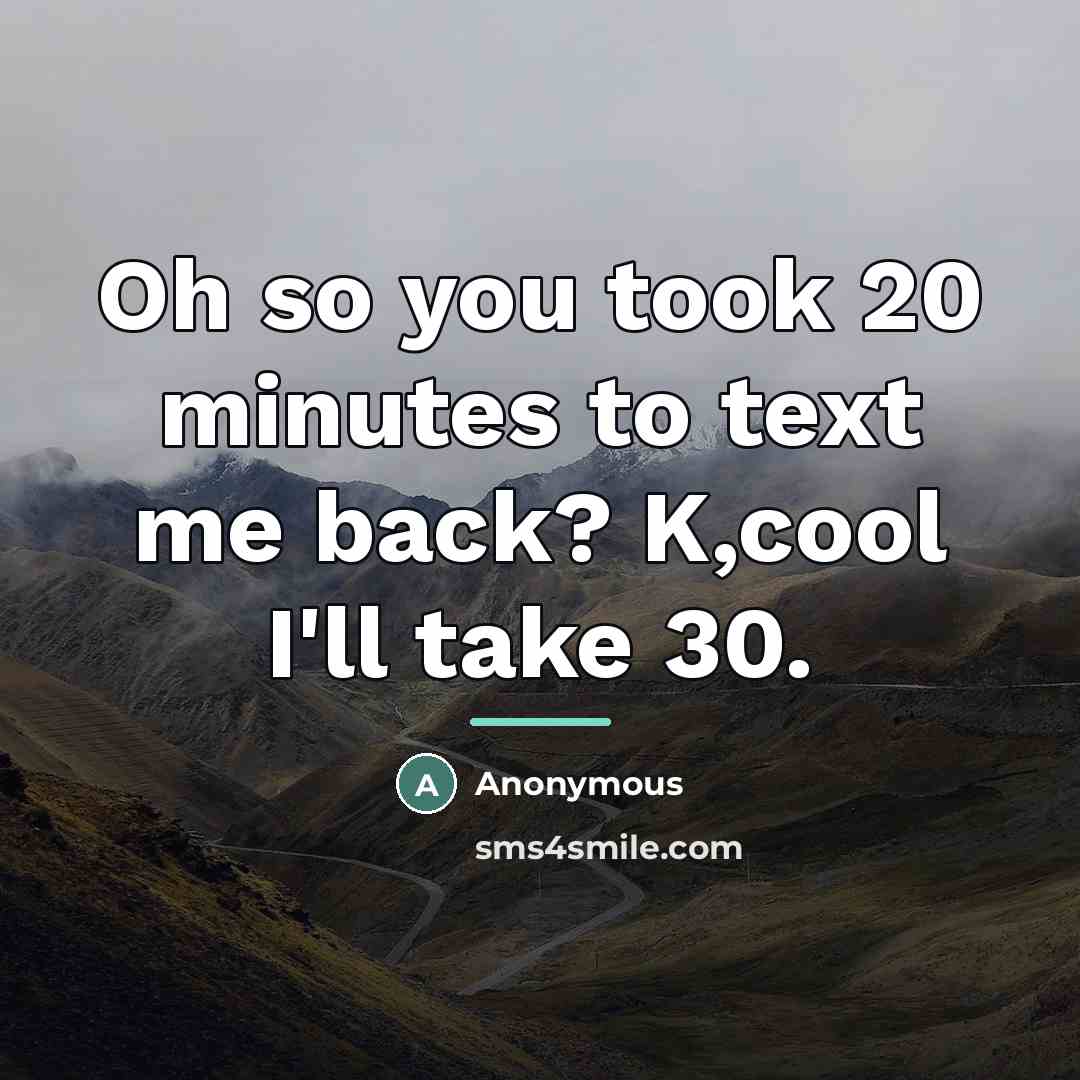 “Oh so you took 20 minutes to text me back?…” quote by Anonymous