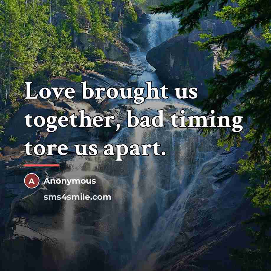 “Love brought us together, bad timing tore us apart.…” quote by Anonymous