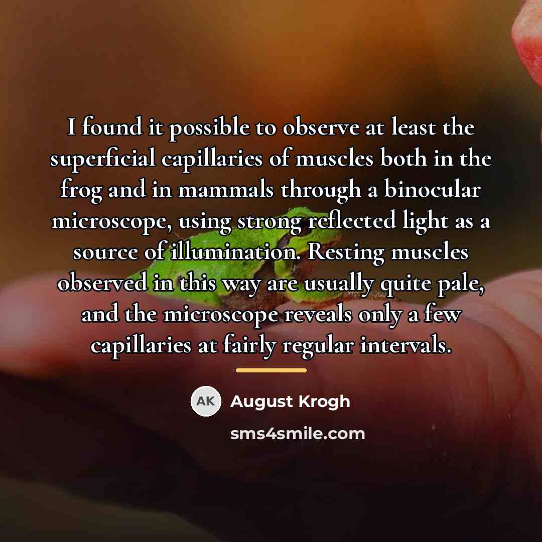 “I found it possible to observe at least the superficial…” quote by August Krogh