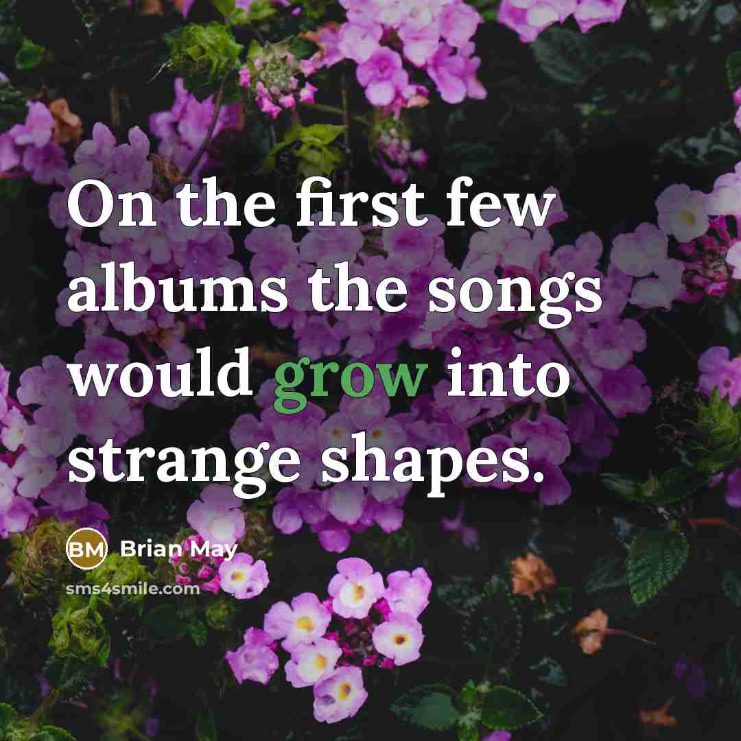 “On the first few albums the songs would grow into…” quote by Brian May