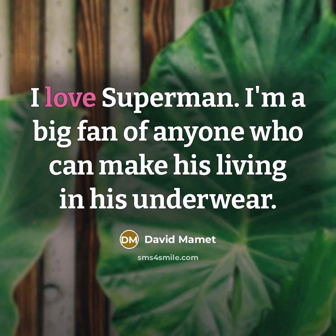 “I love Superman. I'm a big fan of anyone who…” quote by David Mamet