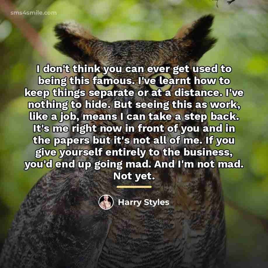 “I don't think you can ever get used to being…” quote by Harry Styles