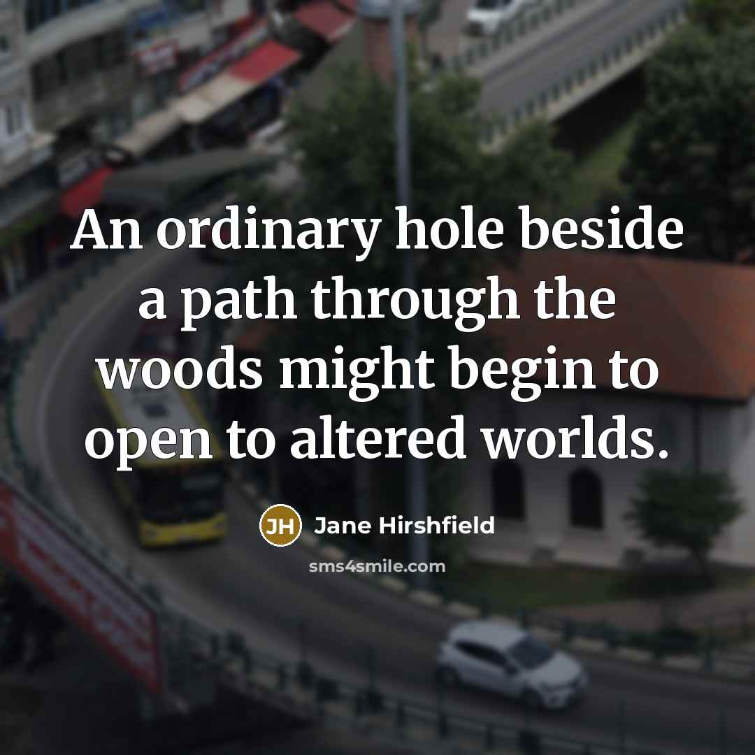 “An ordinary hole beside a path through the woods might…” quote by Jane Hirshfield
