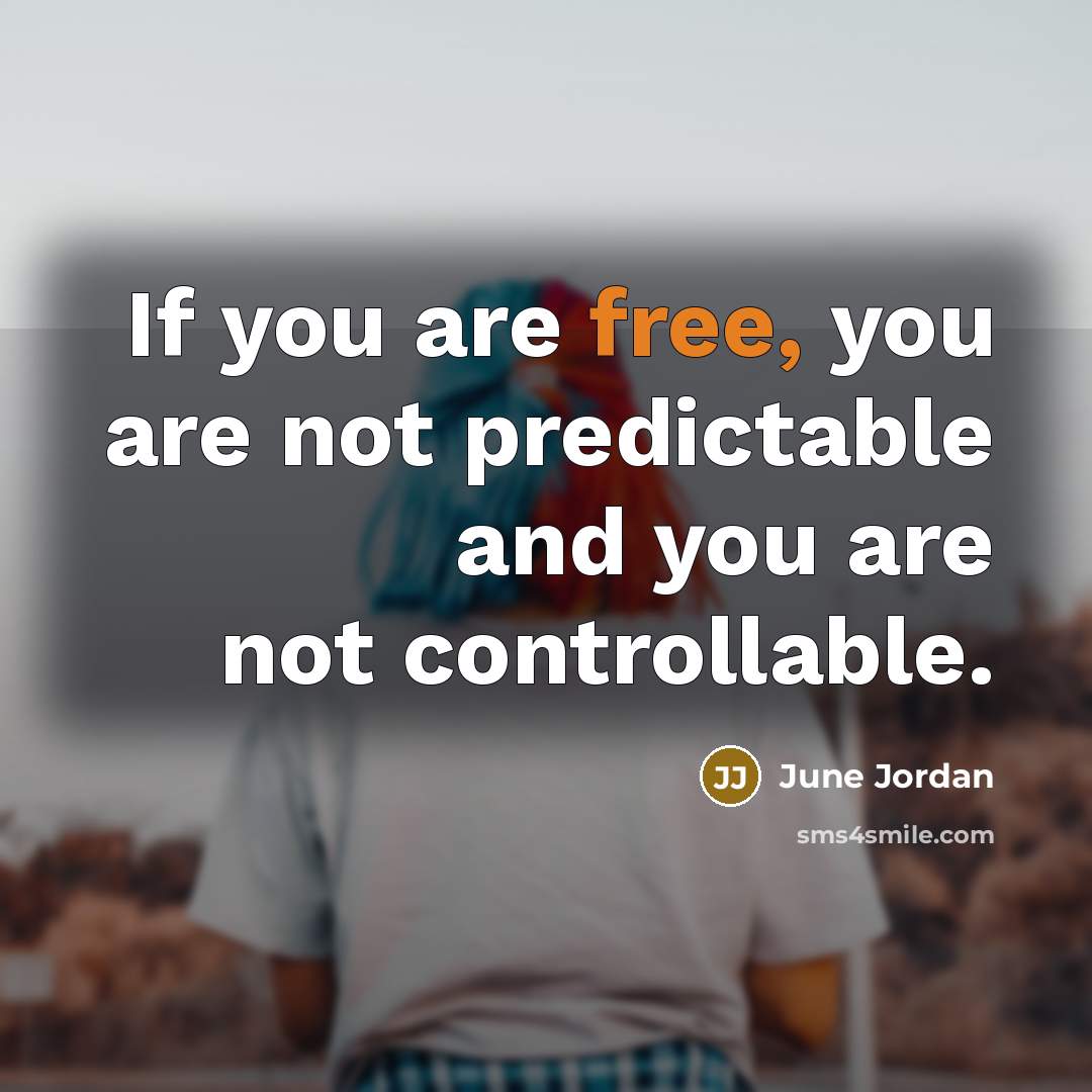 “If you are free, you are not predictable and you are not controllable.” quote by June Jordan