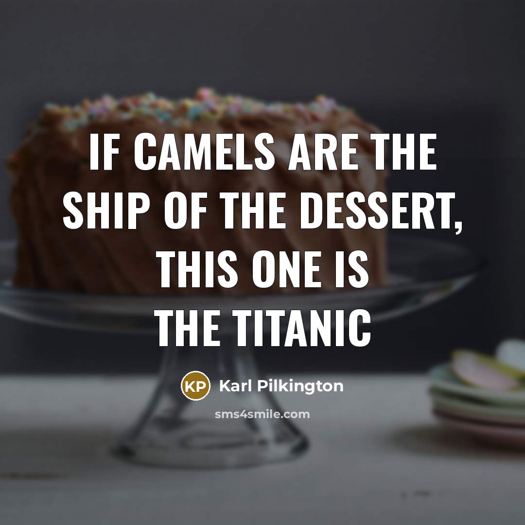 “If Camels are the ship of the dessert, this one…” quote by Karl Pilkington