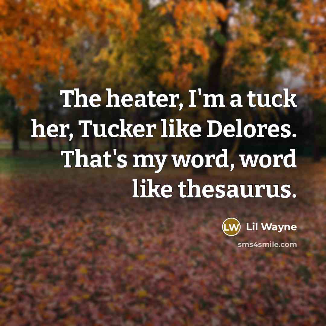 “The heater, I'm a tuck her, Tucker like Delores. That's…” quote by Lil Wayne