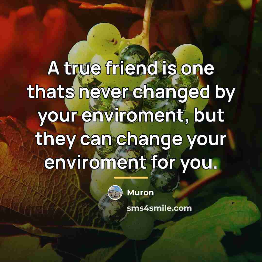 “A true friend is one thats never changed by your…” quote by Muron