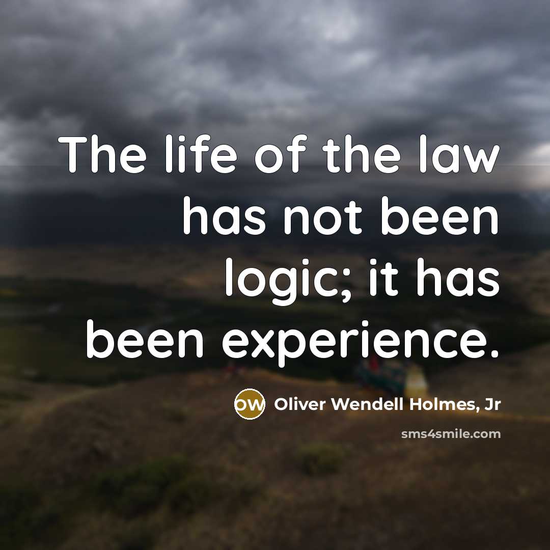 “The life of the law has not been logic; it…” quote by Oliver Wendell Holmes, Jr