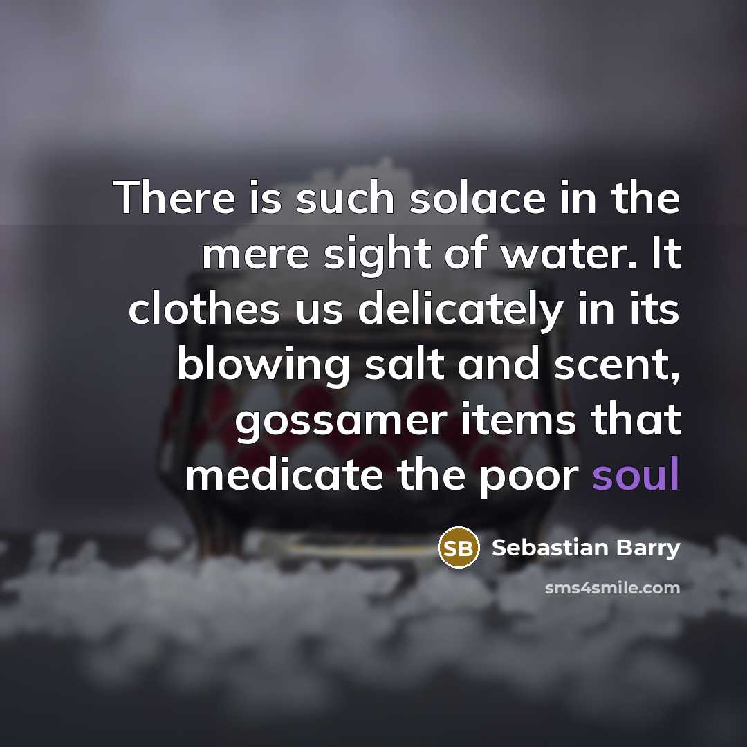 “There is such solace in the mere sight of water.…” quote by Sebastian Barry