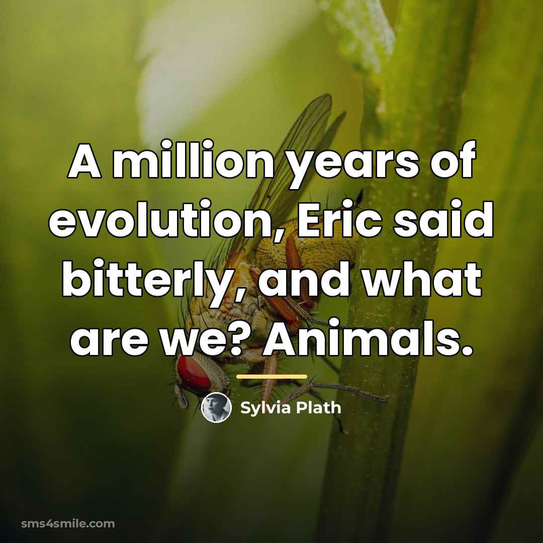 “A million years of evolution, Eric said bitterly, and what…” quote by Sylvia Plath